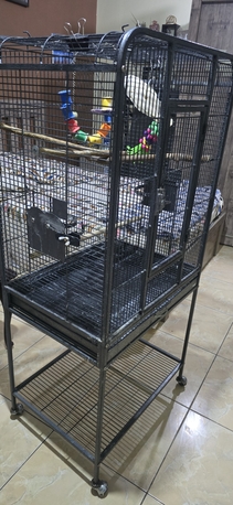 Riyadh, Pet Adoption, Big Bird Cage