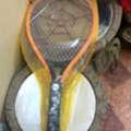 Electric Fly Swatter