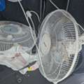 SAR 80,  Wall Fan For Sale