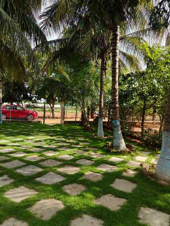 Riyadh, Commercial Villas, INR 27000,  1000 Sq. Yard,  WELL DEVELOPED FARMHOUSE FOR SALE IN HYD-INDIA