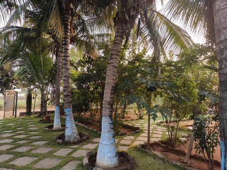 Riyadh, Commercial Villas, INR 27000,  1000 Sq. Yard,  WELL DEVELOPED FARMHOUSE FOR SALE IN HYD-INDIA