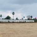 INR 35000,  150 Sq. Yard,  Hmda&rera Approved Open Plots For Sale At Kongarakaln