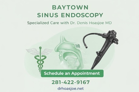 New York, Health, Book Sinus Endoscopy In Baytown &ndash; Trusted ENT Care