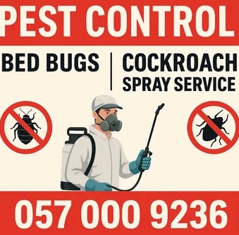 Al Badiyah, Pest Control, ✅✅✅ COCKROACH & BED BUG PROBLEM | PEST CONTROL &ndash; DAMMAM ✅✅✅