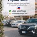 Filipino Family Driver (From Philippines)