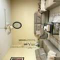 SAR 1500/month,  2 Rooms For Rent In Shared House