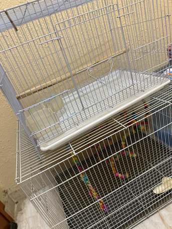 Jubail, Pet Supplies, SAR 80,  Bird Cage