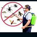 # Save Pest Control Spray With Best Price And Bed Bugs Service 0563416917