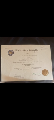 Hasa-Hofuf, Job Seekers, Teaching