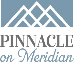 New York, Business, Pinnacle On Meridian