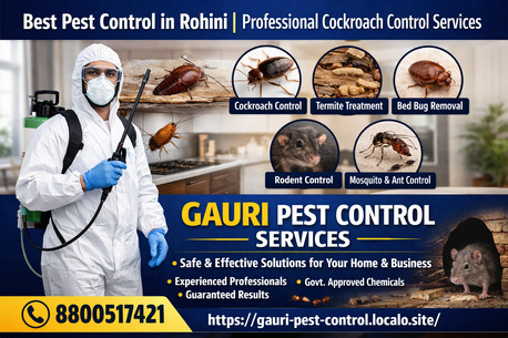 New Delhi, Pest Control, Best Pest Control In Rohini | Professional Cockroach Control Services
