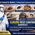 Best Pest Control In Rohini | Professional Cockroach Control Services