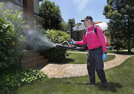 New York, Pest Control, Mosquito Authority In St. Charles, IL