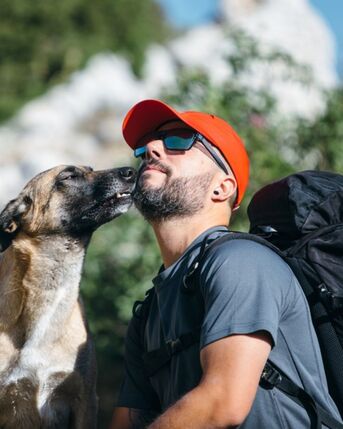 New York, Business, Dog Obedience Training In Glendale