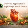 Ayurvedic Approaches To Improving Cardiac Health