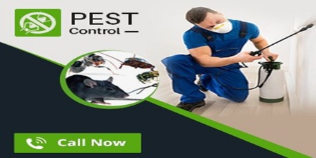 Chicago, Businesses For Sale, SureWay Pest Control