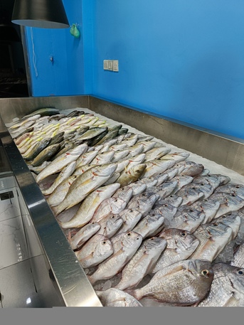 Jubail, Business Partners, Brand New Shop For Fresh Fish - Newly Open Furnished With Vehicle For Partnership Or Sale