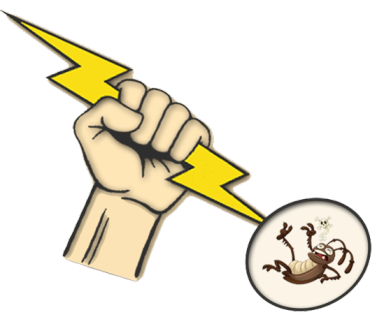 New York, Farm/Garden, Exterminator Near Me In Buffalo