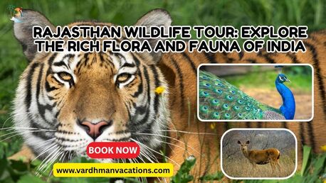 Jaipur, Travel, Embark On A Thrilling Rajasthan Wildlife Tour | Discover Exotic Flora & Fauna