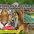 Embark On A Thrilling Rajasthan Wildlife Tour | Discover Exotic Flora & Fauna