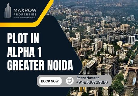 Noida, Real Estate, Hot Deal! Plot In Alpha 1 Greater Noida | Prime Location | Maxrow Properties