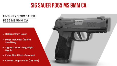 Los Angeles, Collectibles, USD 549,  SIG Sauer P365 9mm For Sale In California &ndash; Compact Carry