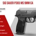 USD 549,  SIG Sauer P365 9mm For Sale In California &ndash; Compact Carry
