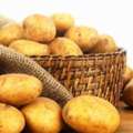 Potato Wholesalers In Delhi