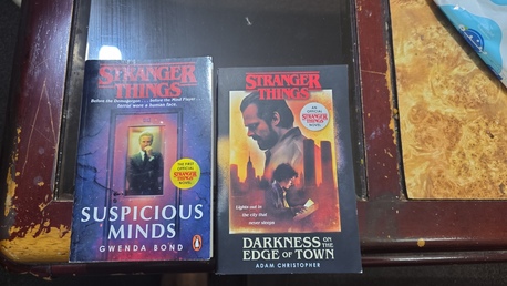 Riyadh, Books, SAR 50,  Stranger Things Official Novels