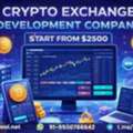 Stop Waiting. Launch Your Crypto Exchange &ndash; From $2500