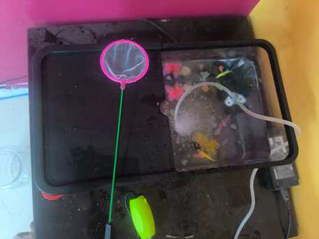 Al Sulaymaniyyah, Pet Supplies, SAR 115,  New Fish Aquarium 14L