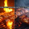 The Science Of BBQ: Why Temperature Control Is Key To Perfect Grilling