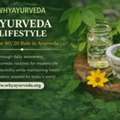 80/20 Rule In Ayurveda &ndash; Natural Healing & Wellness Guide