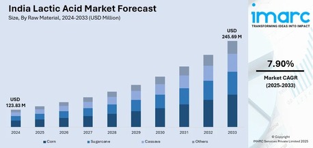 Mumbai, Business, India Lactic Acid Market Size, Share & Outlook