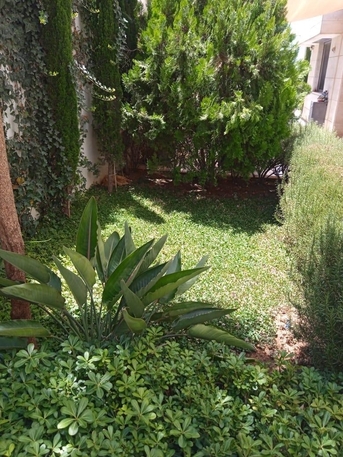Abdoun, Apartments/Houses, JOD 19000/year,  3 BR,  Ground For Rent In Abdoun