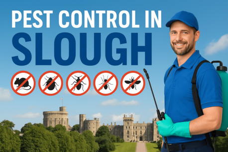 London, Pest Control, Choose Affodable,Fast & Reliable Pest Control In Slough