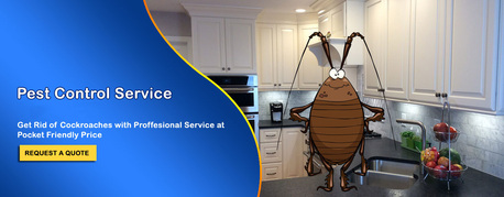 Gurgaon, Pest Control, Top-Rated Pest Control In Gurgaon | Trusted Experts &ndash; Service Mantra
