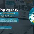 Professional SEO Services | Digital Hub Solution