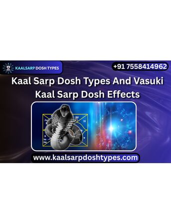 Mumbai, Business, Kaal Sarp Dosh Types And Vasuki Kaal Sarp Dosh Effects