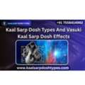 Kaal Sarp Dosh Types And Vasuki Kaal Sarp Dosh Effects