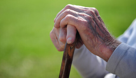 Mumbai, Financial, Earn More With Special FD Rates For Senior Citizens