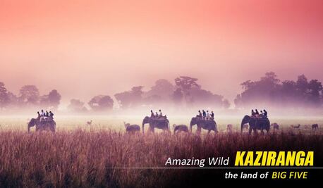 Kolkata, Travel, Kaziranga Shillong Cherrapunji Tour Package From Guwahati