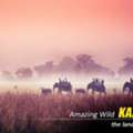 Kaziranga Shillong Cherrapunji Tour Package From Guwahati
