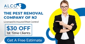 New York, Business, Pest Control Company In NJ &ndash; ALCO Animal & Pest Control