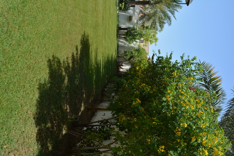 Dammam, Jobs, Urgent Hiring: Irrigation Technician (Local Hire - Ready For Transfer)