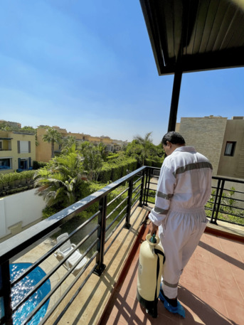 Cairo, Pest Control, مكافحة العناكب: شركة رش مبيد مكافحة العناك