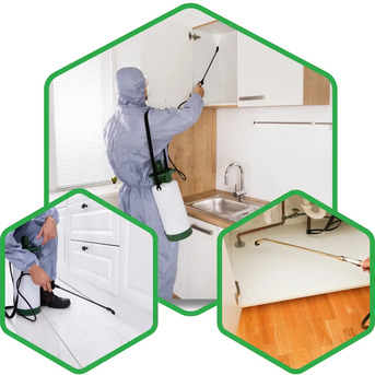 Dubai, Cleaning, Get Rid Of Bed Bugs From Mattress In Dubai, UAE