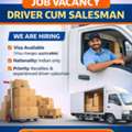 Cargo Driver Cum Salesman