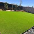 Pet-Friendly Artificial Grass Orange County Services