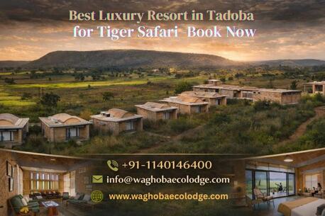 Nagpur, Travel, Best Luxury Resort In Tadoba For Tiger Safari &ndash; Book Now